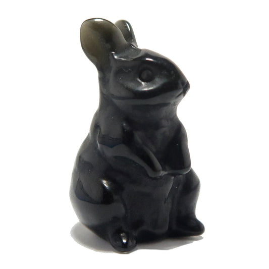 Black Obsidian Rabbit Adorable Protector Bunny
