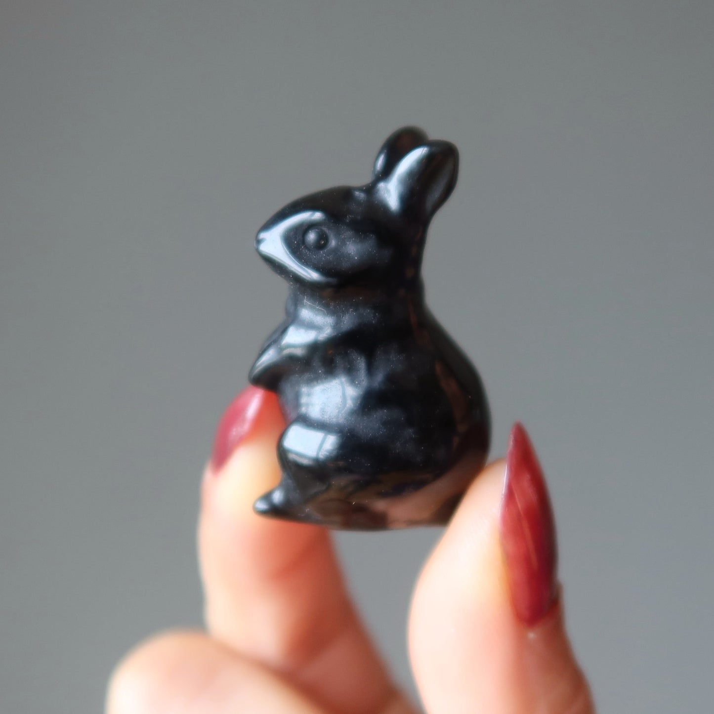 Black Obsidian Rabbit Adorable Protector Bunny