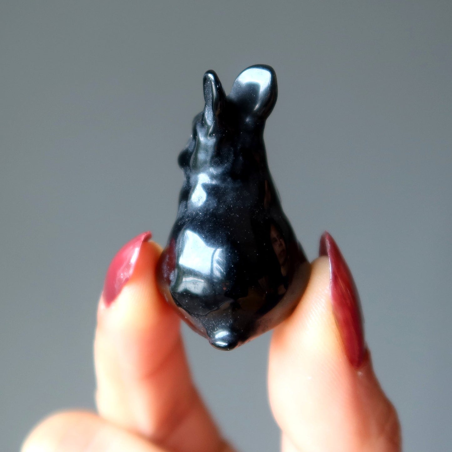 Black Obsidian Rabbit Adorable Protector Bunny