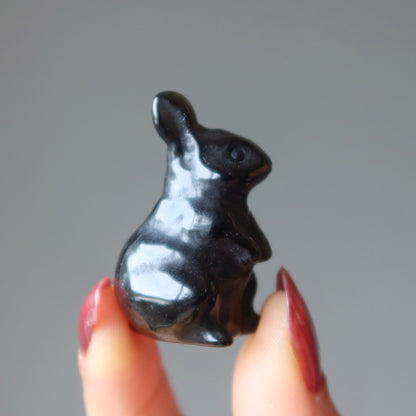 Black Obsidian Rabbit Adorable Protector Bunny
