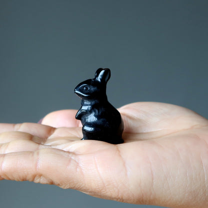 Black Obsidian Rabbit Adorable Protector Bunny