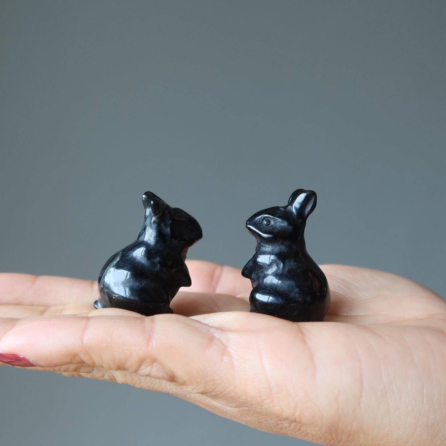 Black Obsidian Rabbit Adorable Protector Bunny