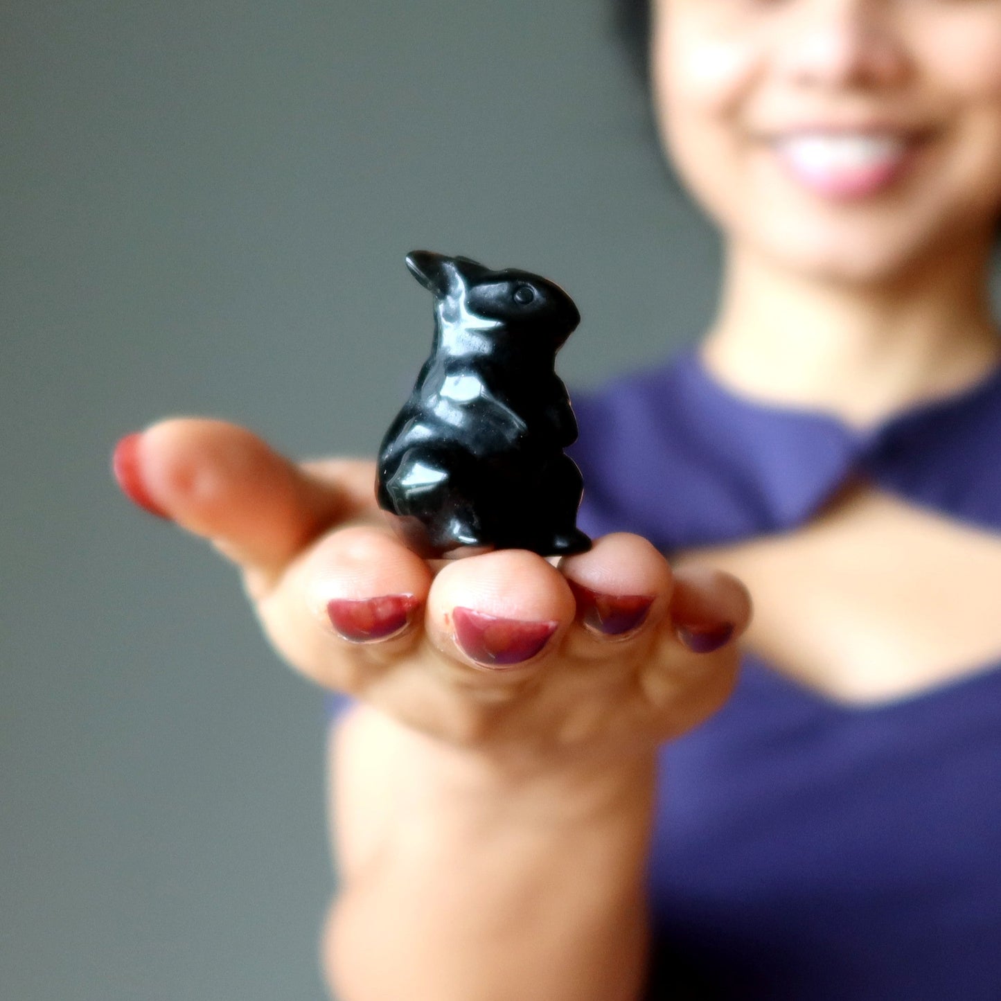 Black Obsidian Rabbit Adorable Protector Bunny