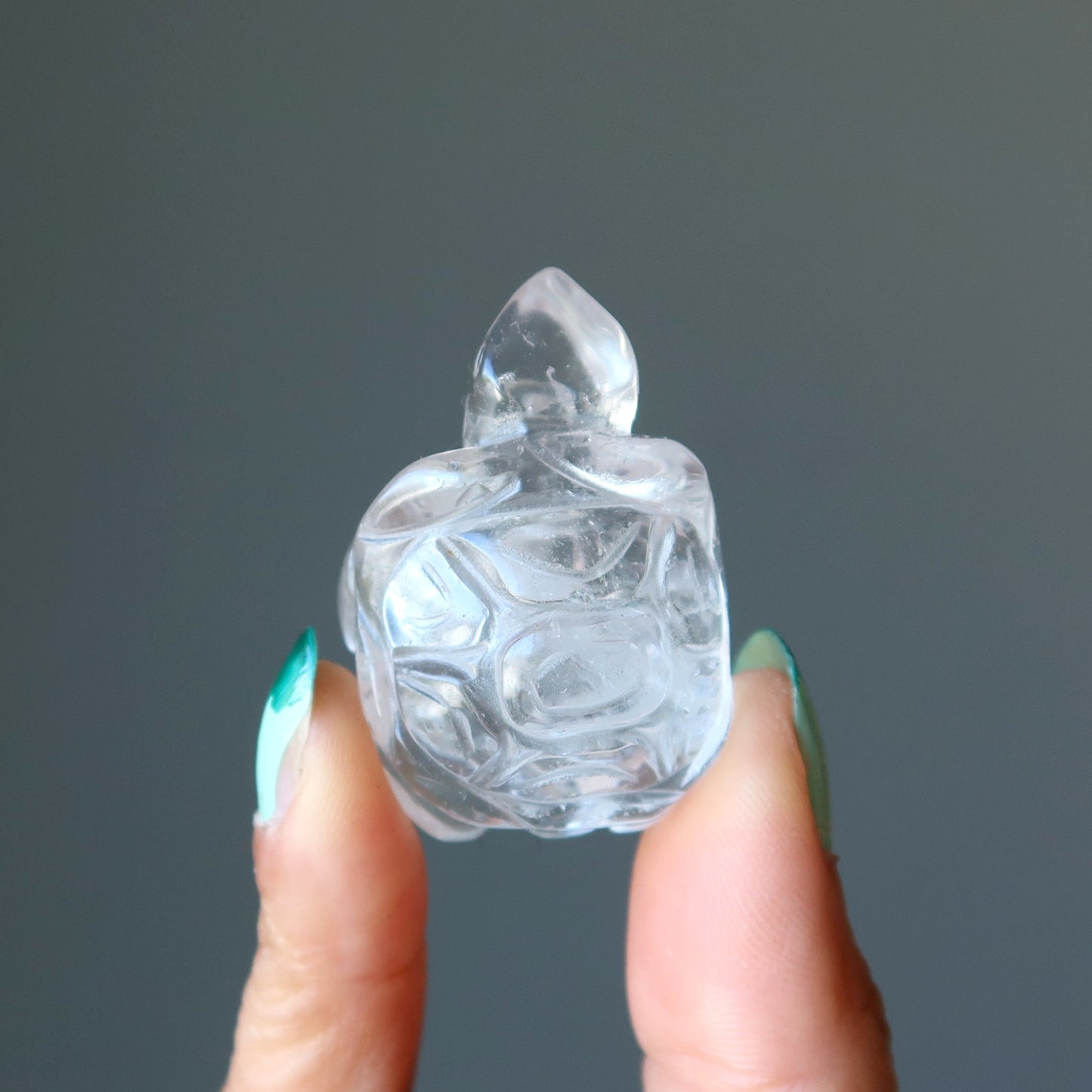 Clear Quartz Turtle Spirit Crystal Guardian Animal
