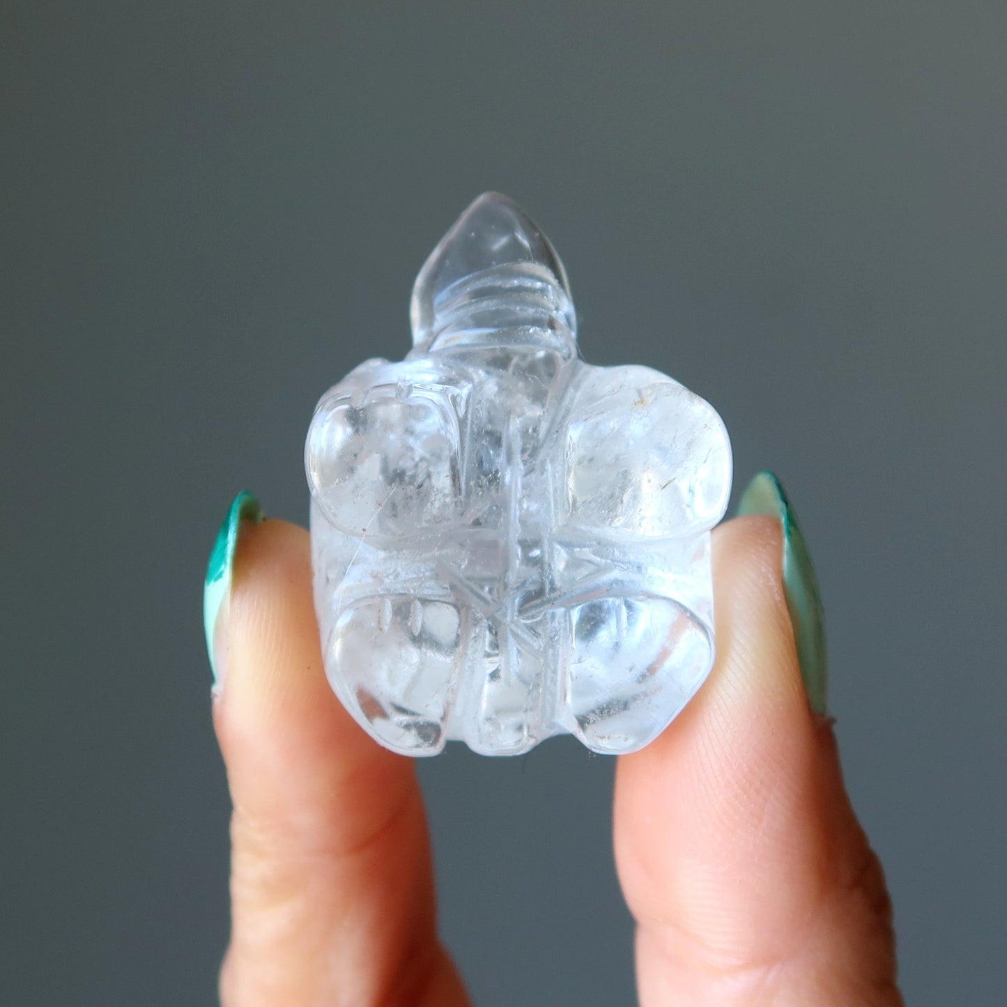 Clear Quartz Turtle Spirit Crystal Guardian Animal