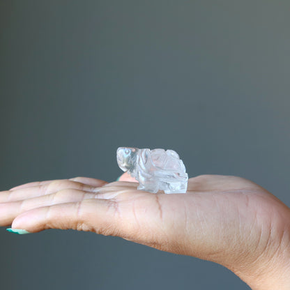 Clear Quartz Turtle Spirit Crystal Guardian Animal