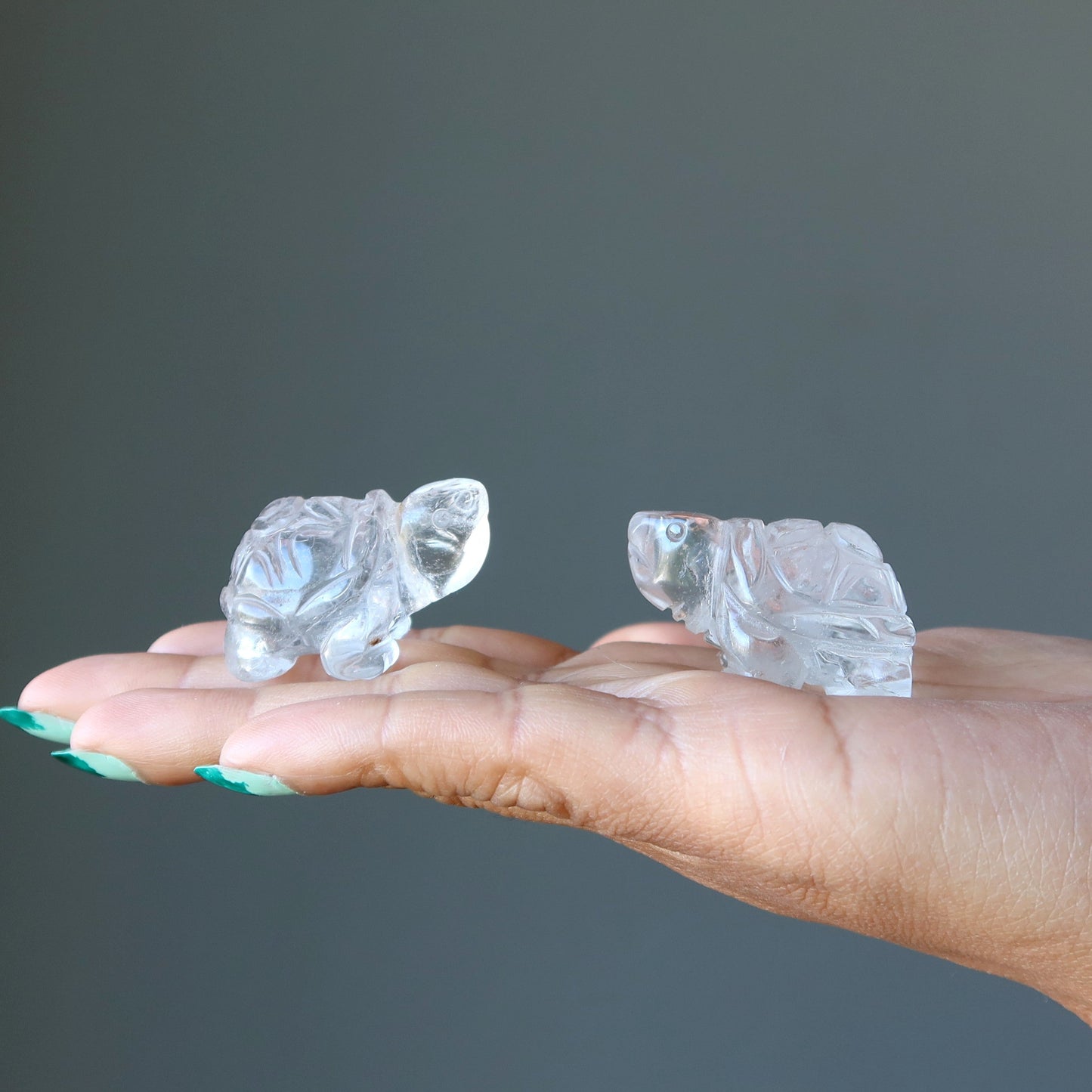 Clear Quartz Turtle Spirit Crystal Guardian Animal