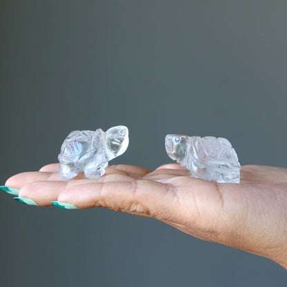 Clear Quartz Turtle Spirit Crystal Guardian Animal