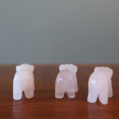 Rose Quartz Bear Pink Grizzly Girl Empowerment