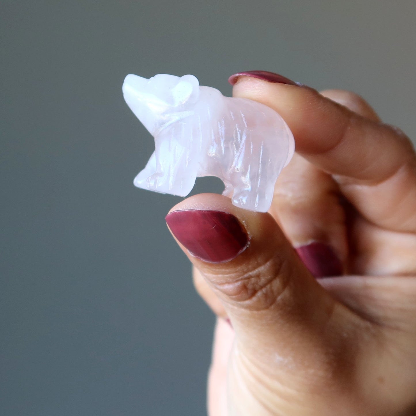 Rose Quartz Bear Pink Grizzly Girl Empowerment