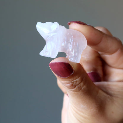 Rose Quartz Bear Pink Grizzly Girl Empowerment