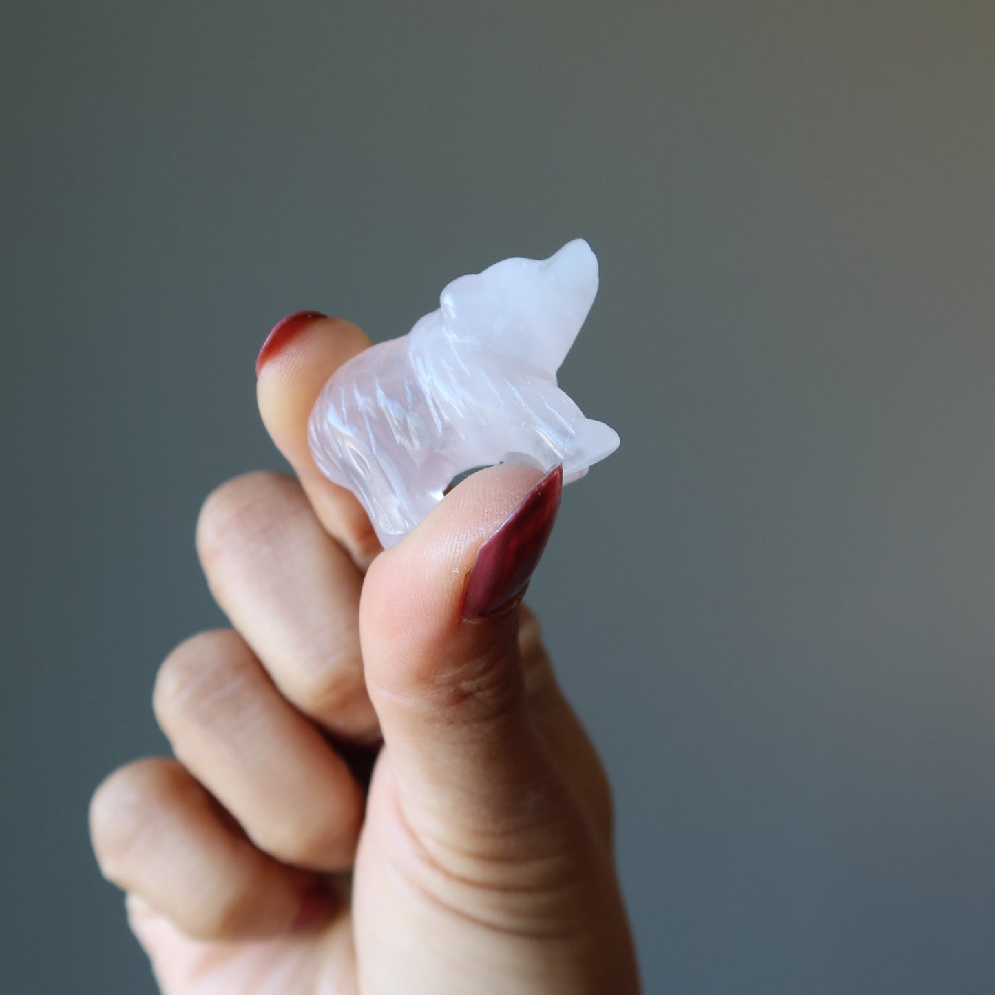 Rose Quartz Bear Pink Grizzly Girl Empowerment