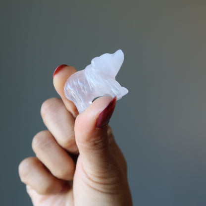 Rose Quartz Bear Pink Grizzly Girl Empowerment