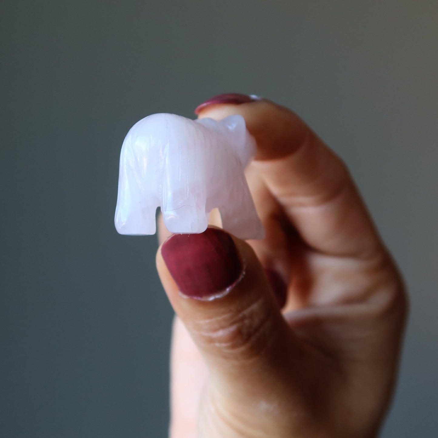 Rose Quartz Bear Pink Grizzly Girl Empowerment