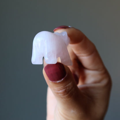 Rose Quartz Bear Pink Grizzly Girl Empowerment