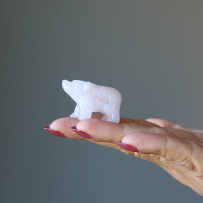 Rose Quartz Bear Pink Grizzly Girl Empowerment