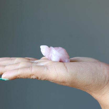 Rose Quartz Turtle Live Laugh Love Pink Crystal