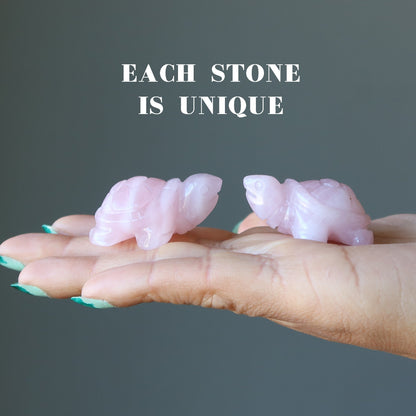Rose Quartz Turtle Live Laugh Love Pink Crystal
