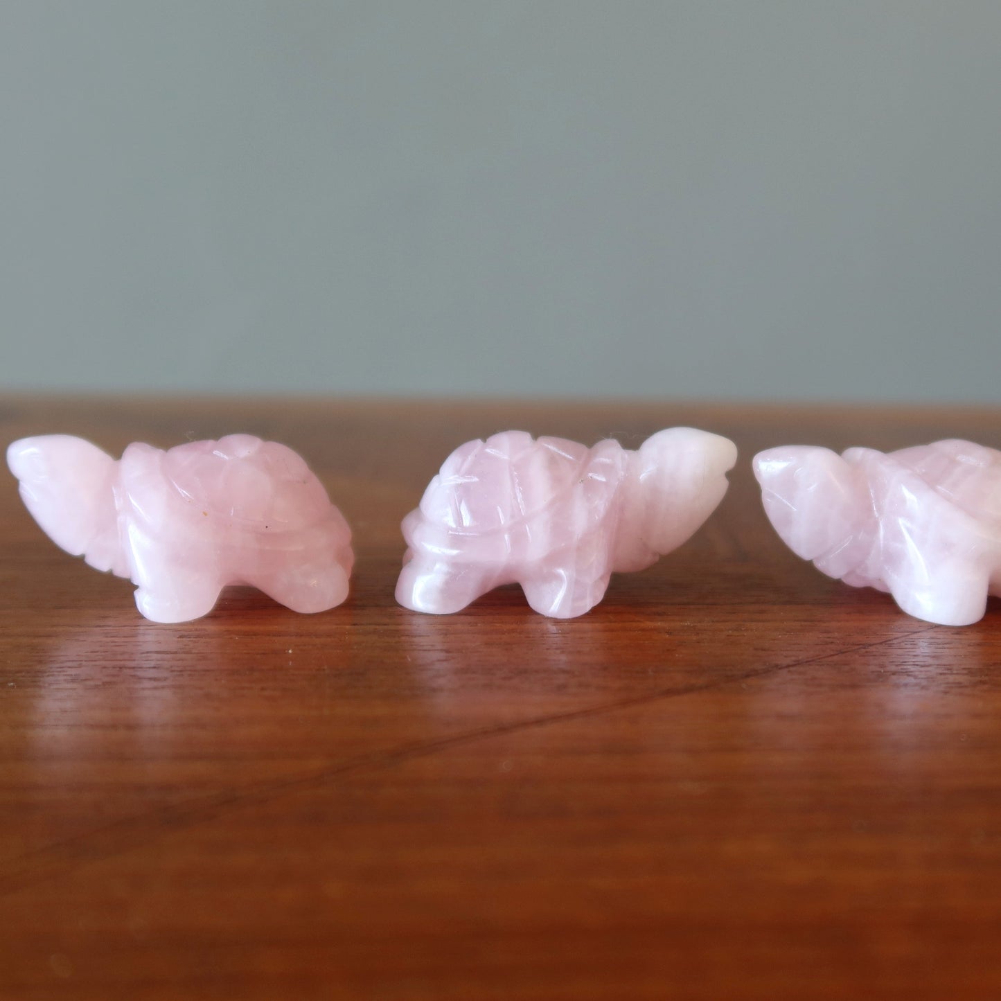 Rose Quartz Turtle Live Laugh Love Pink Crystal