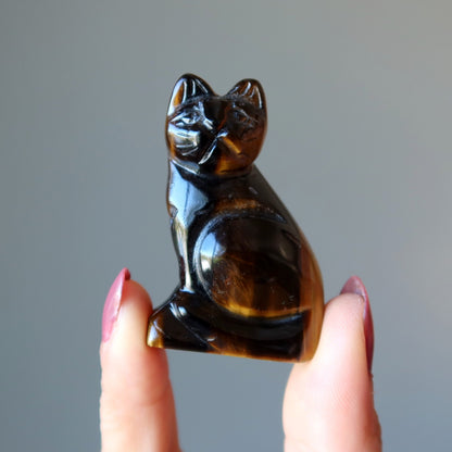 Tigers Eye Cat Supreme Spiritual Guardian Animal