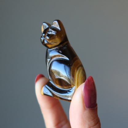 Tigers Eye Cat Supreme Spiritual Guardian Animal