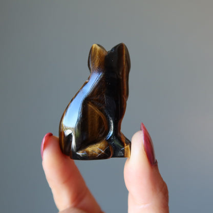 Tigers Eye Cat Supreme Spiritual Guardian Animal