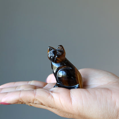Tigers Eye Cat Supreme Spiritual Guardian Animal