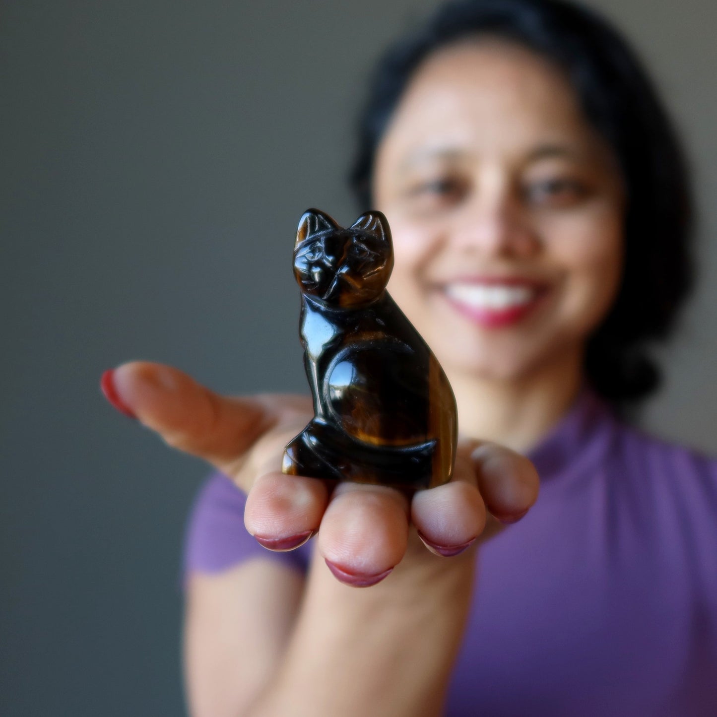 Tigers Eye Cat Supreme Spiritual Guardian Animal