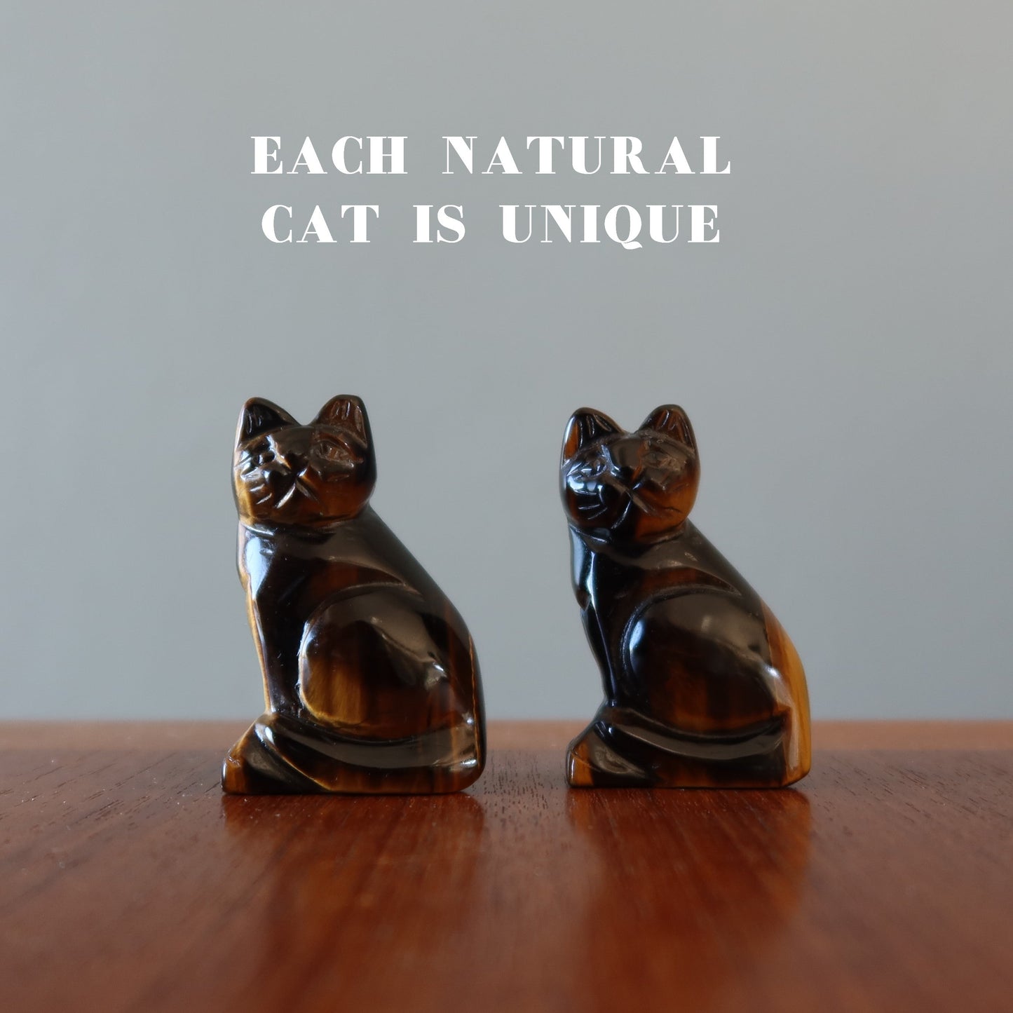 Tigers Eye Cat Supreme Spiritual Guardian Animal