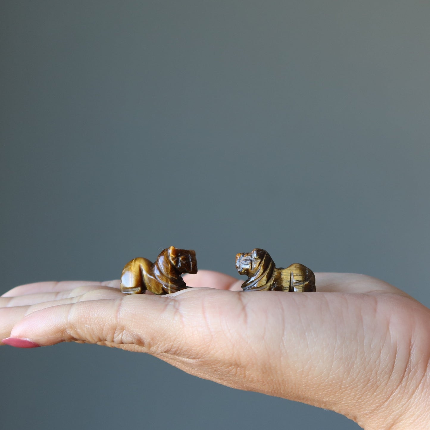 Tigers Eye Lion 1" Miniature Animal Your Royal Majesty