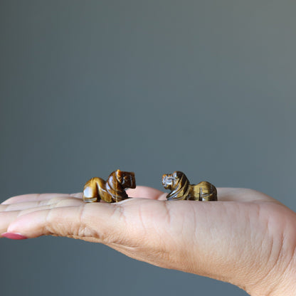 Tigers Eye Lion 1" Miniature Animal Your Royal Majesty