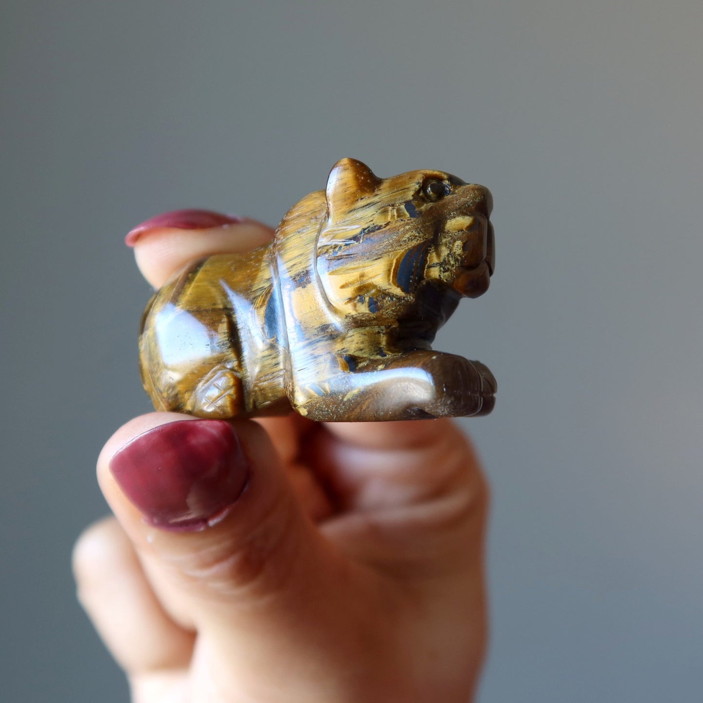 Tigers Eye Tiger Royal Leader Animal Guardian