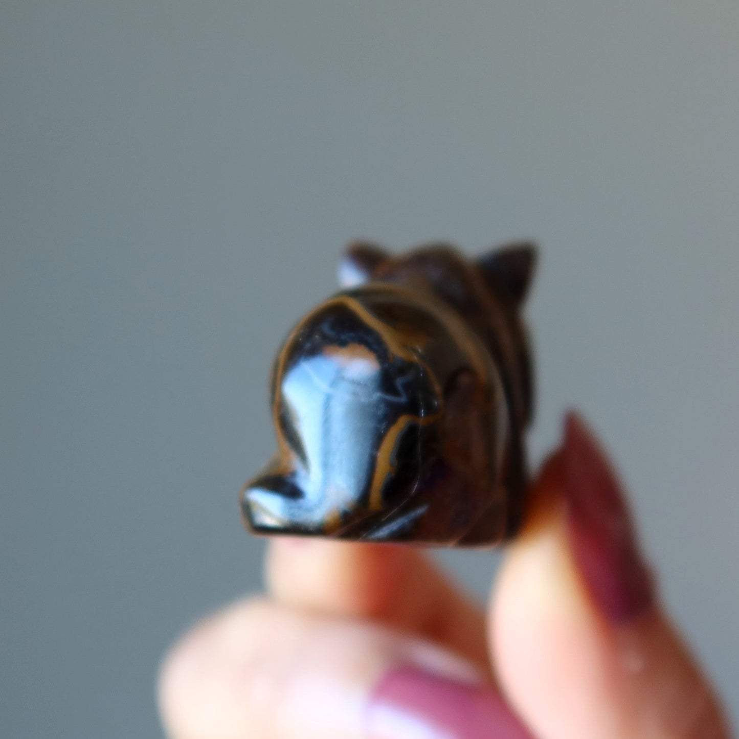 Tigers Eye Tiger Royal Leader Animal Guardian