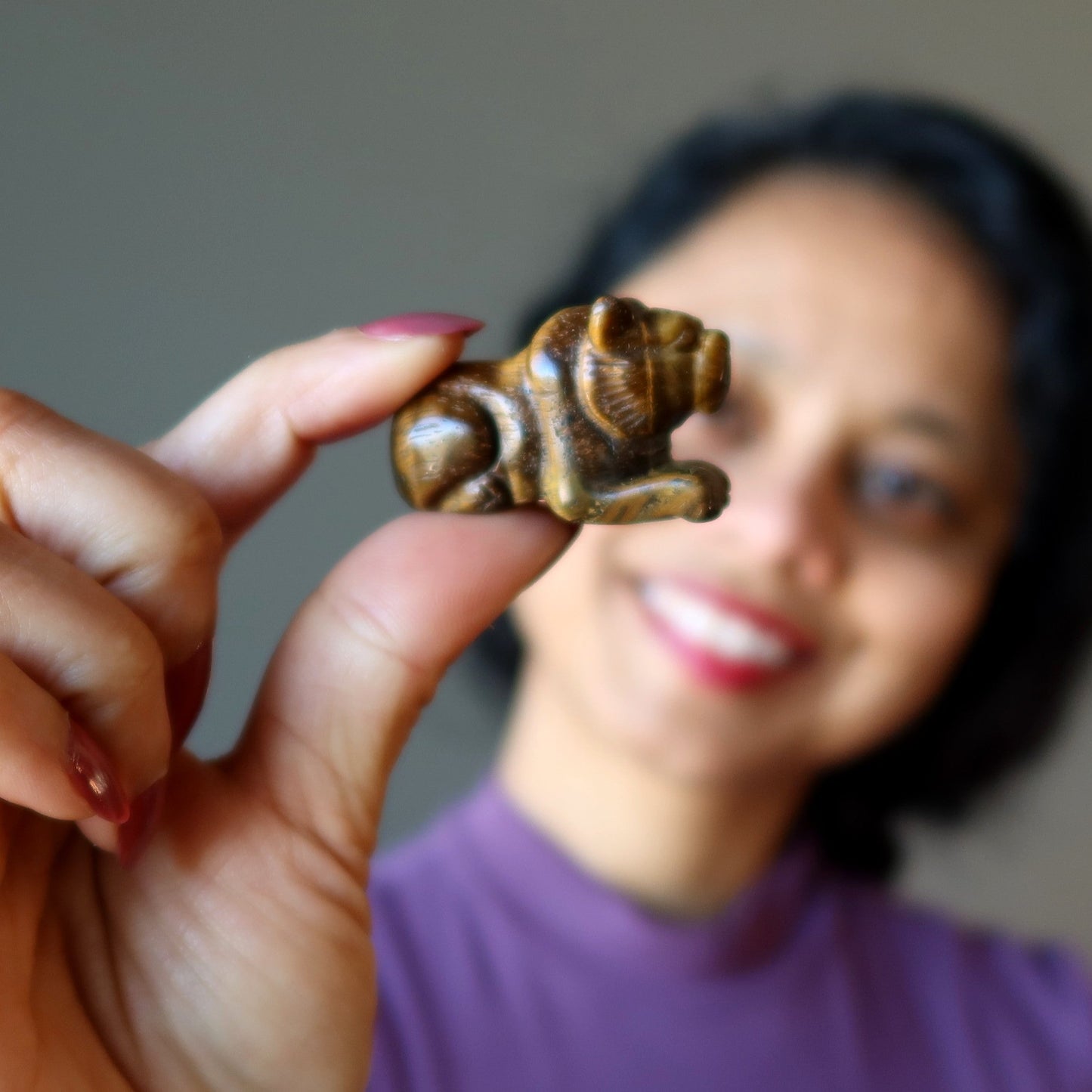 Tigers Eye Tiger Royal Leader Animal Guardian